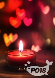 被疯批强制爱后(np)Alp