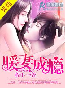 暖妻成瘾免费阅读